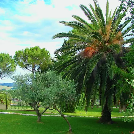 Il Poggio *